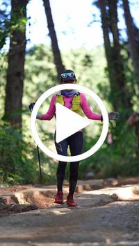 BIB:  <button type="button" onclick="openModal(26787929)" class="btn btn-primary btn-sm float-right" data-toggle="modal" data-target=".modal-high-quality">
                <i class="fa fa-download"></i> Download
                </button>